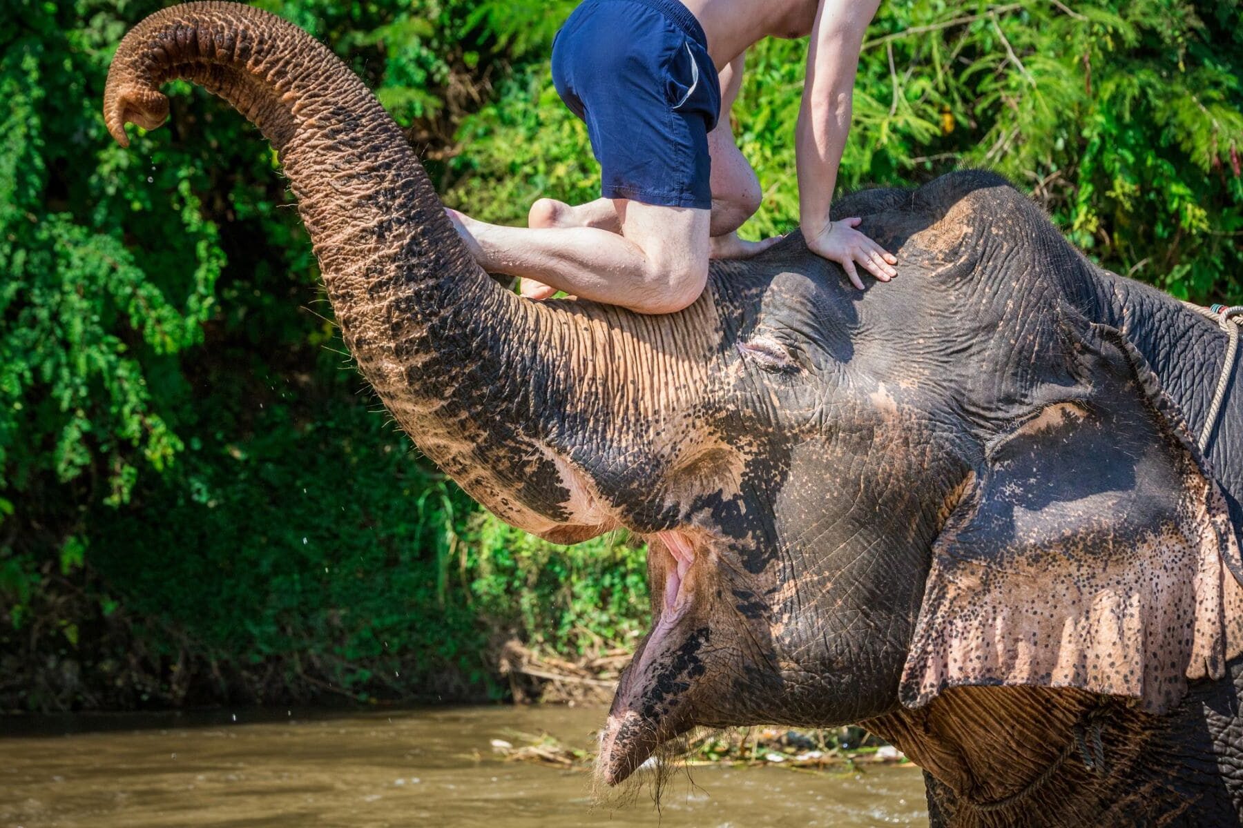 Curso Turismo Responsable Animales