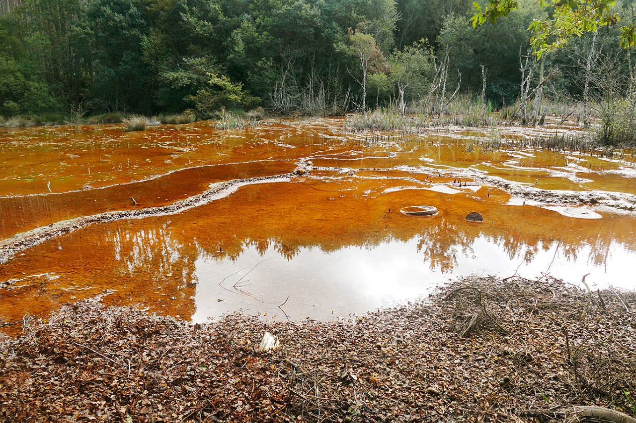 3 problemas medio ambiente en España