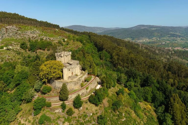 Catálogo Árboles Singulares Galicia 3 ejemplares