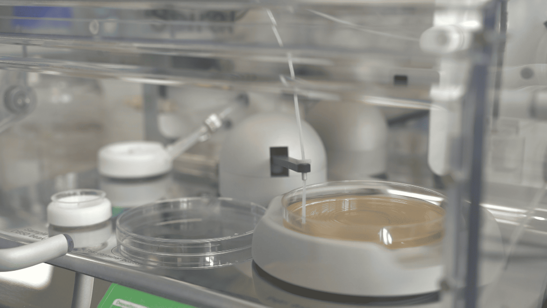 frutas verduras ITENE ingredientes origen vegetal