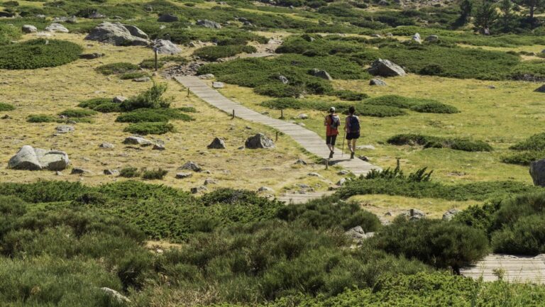 Actuaciones Parque Nacional de la Sierra de Guadarrama