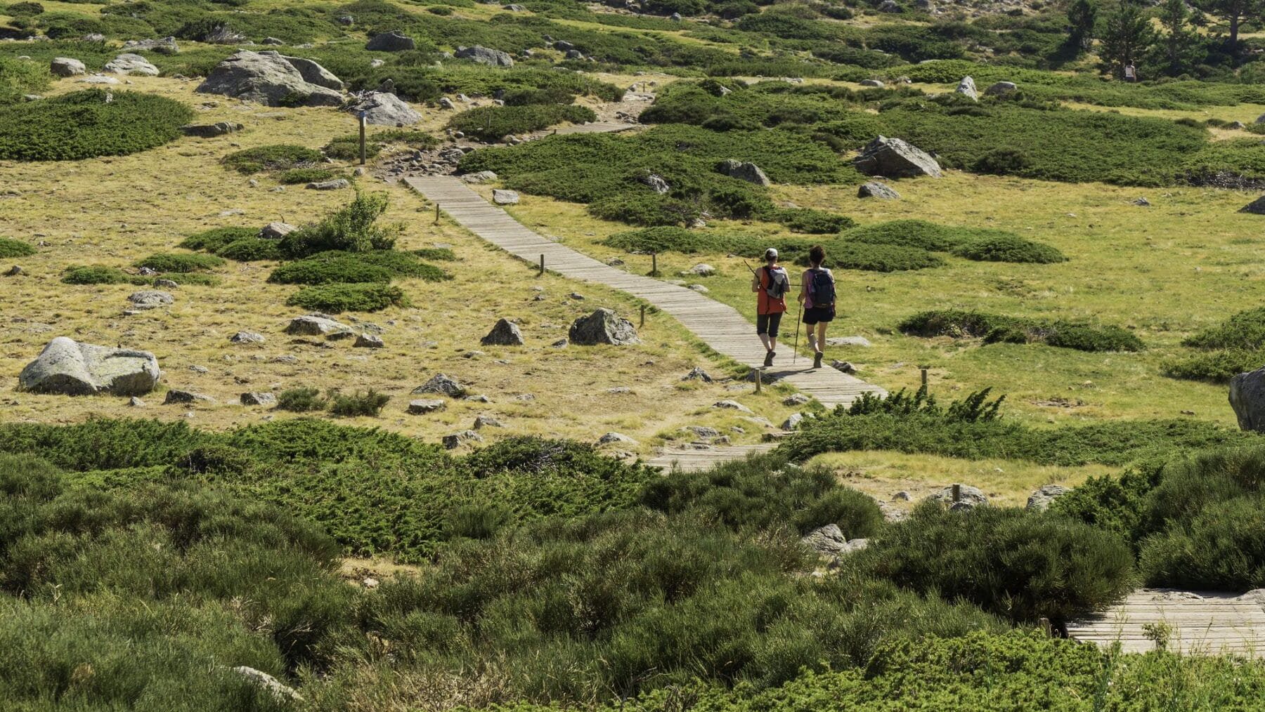 Actuaciones Parque Nacional de la Sierra de Guadarrama