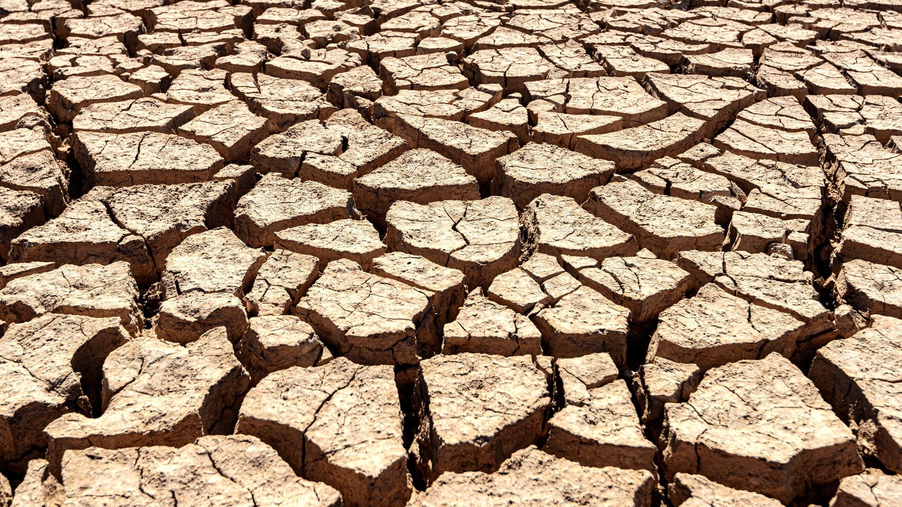 Andalucía proyectos innovadores sequía