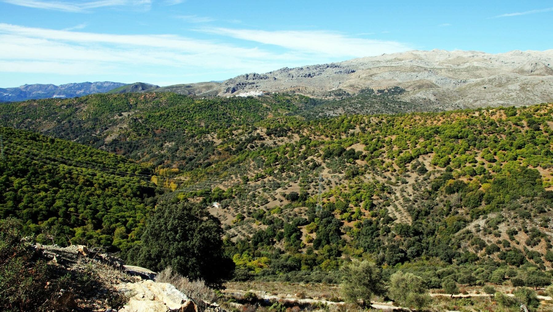 Andalucía sostenibilidad Espacios Naturales Protegidos