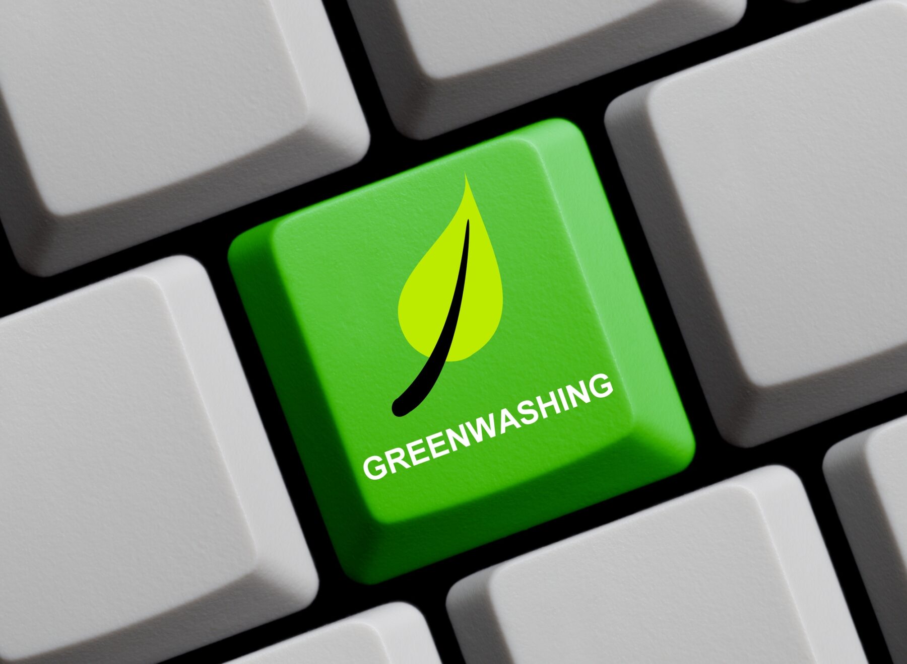 Greenwashing 2024