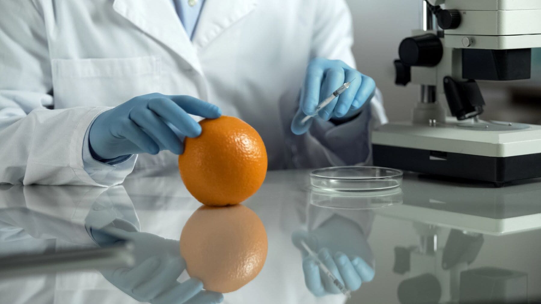 Baleares fitosanitarios alimentos Chile Turquía Perú Sudáfrica