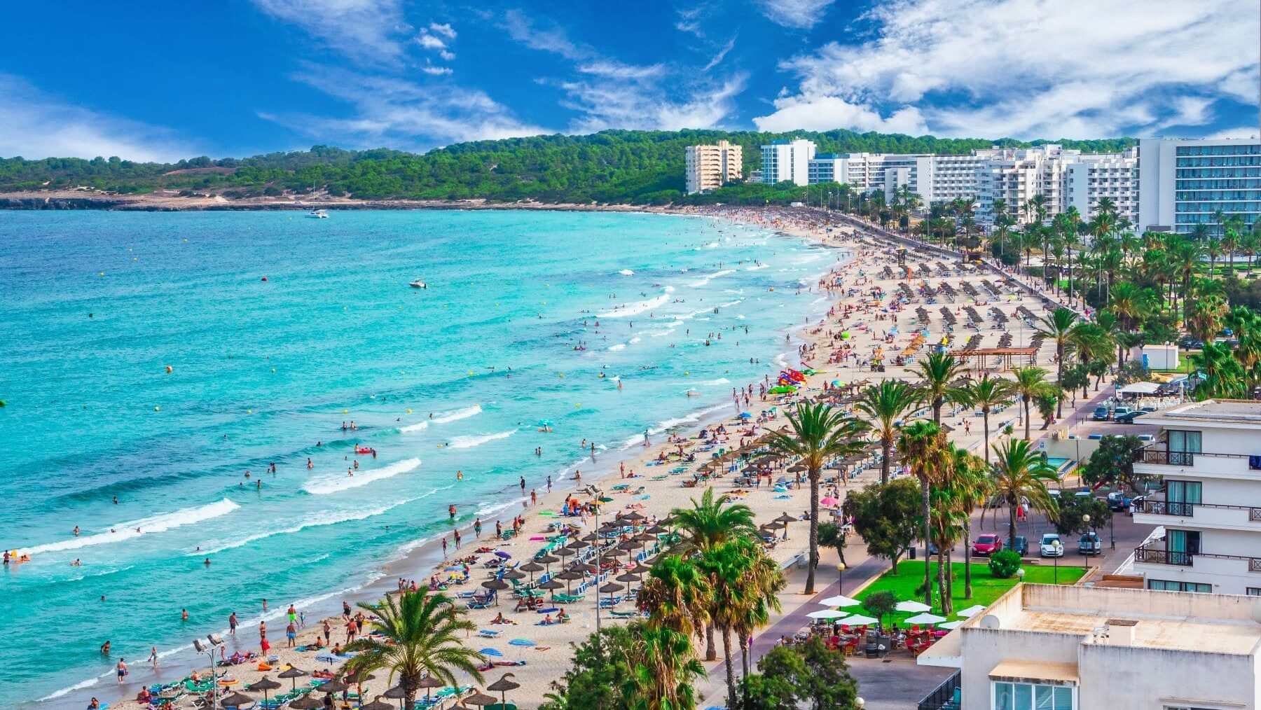 CONAMA 2024 Life Adapt Cala Millor