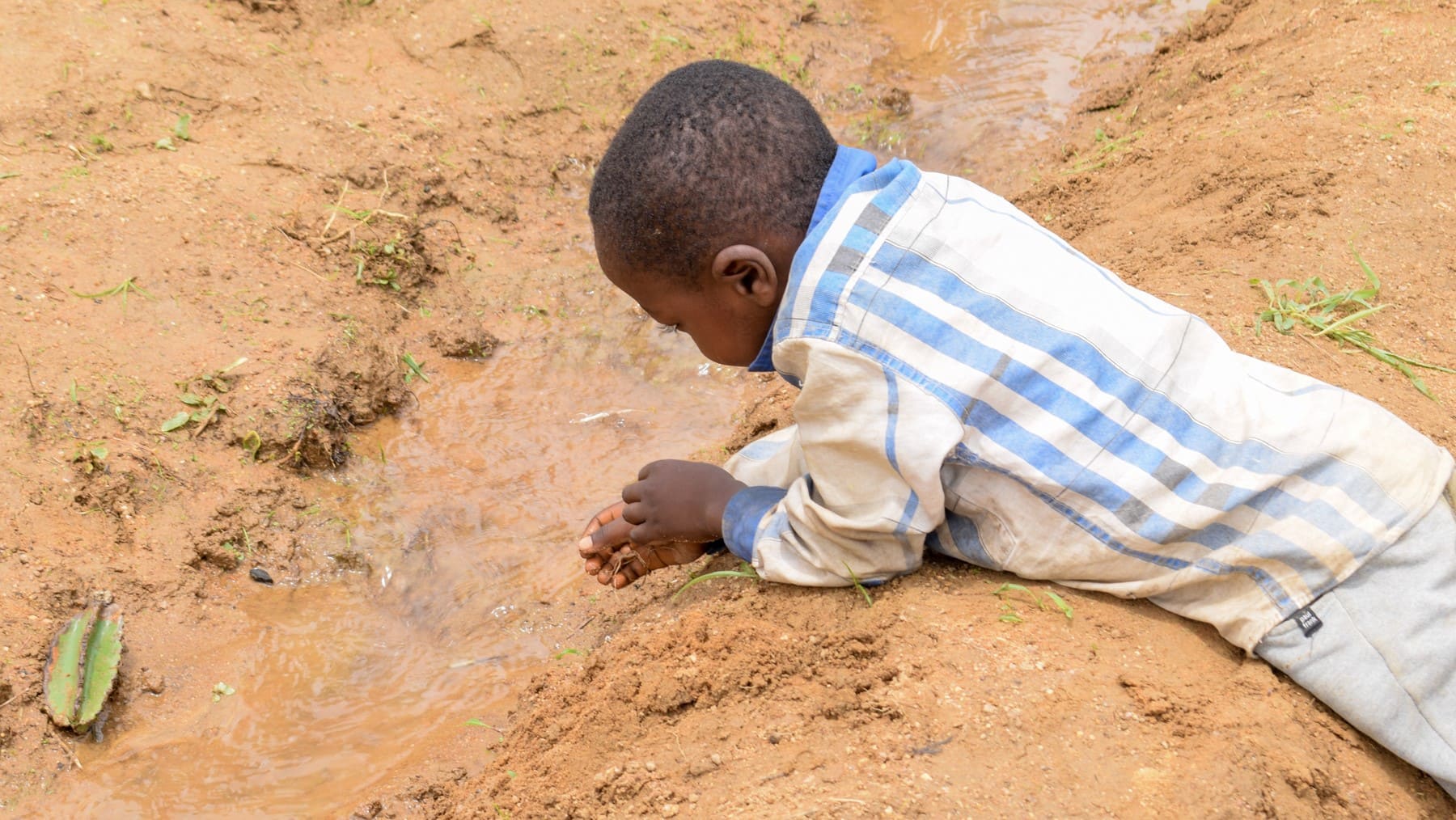 personas afectadas desertificación suelo