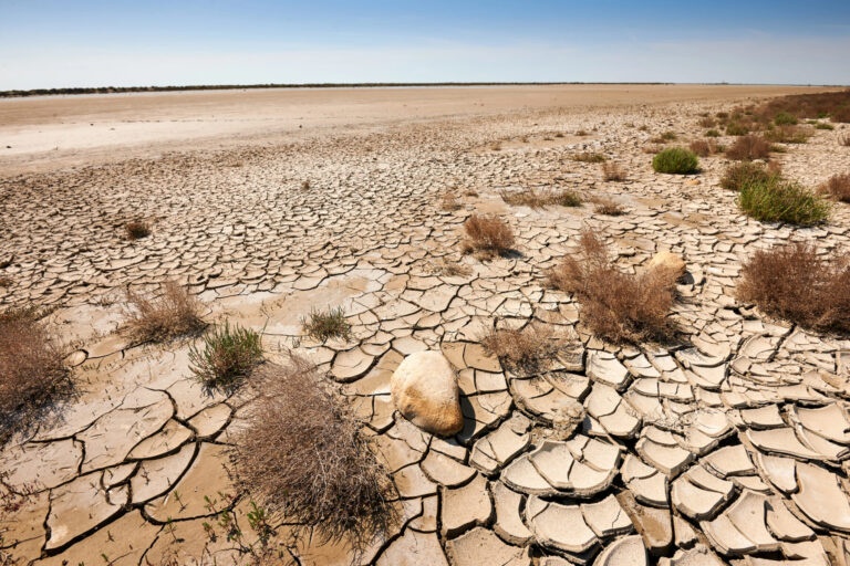 COP16 Riad Arabia Saudita Desertificación