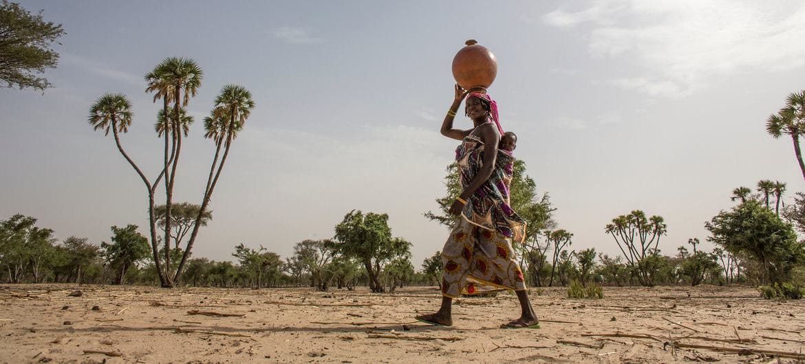 desertización tendencia