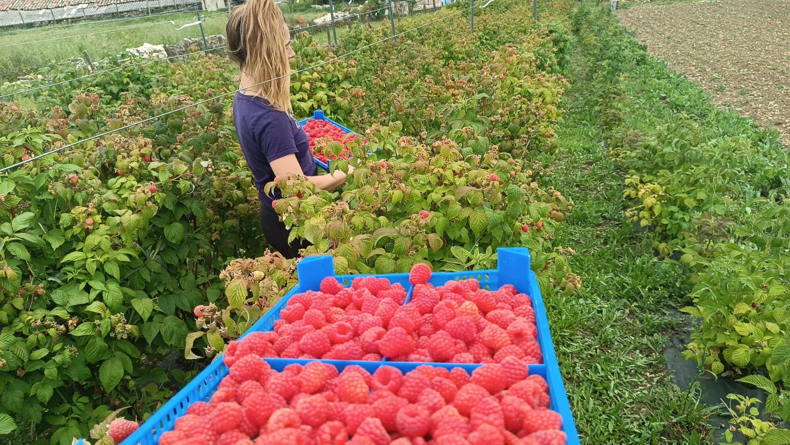 CPAEN/NNPEK podcast El futuro es ecológico