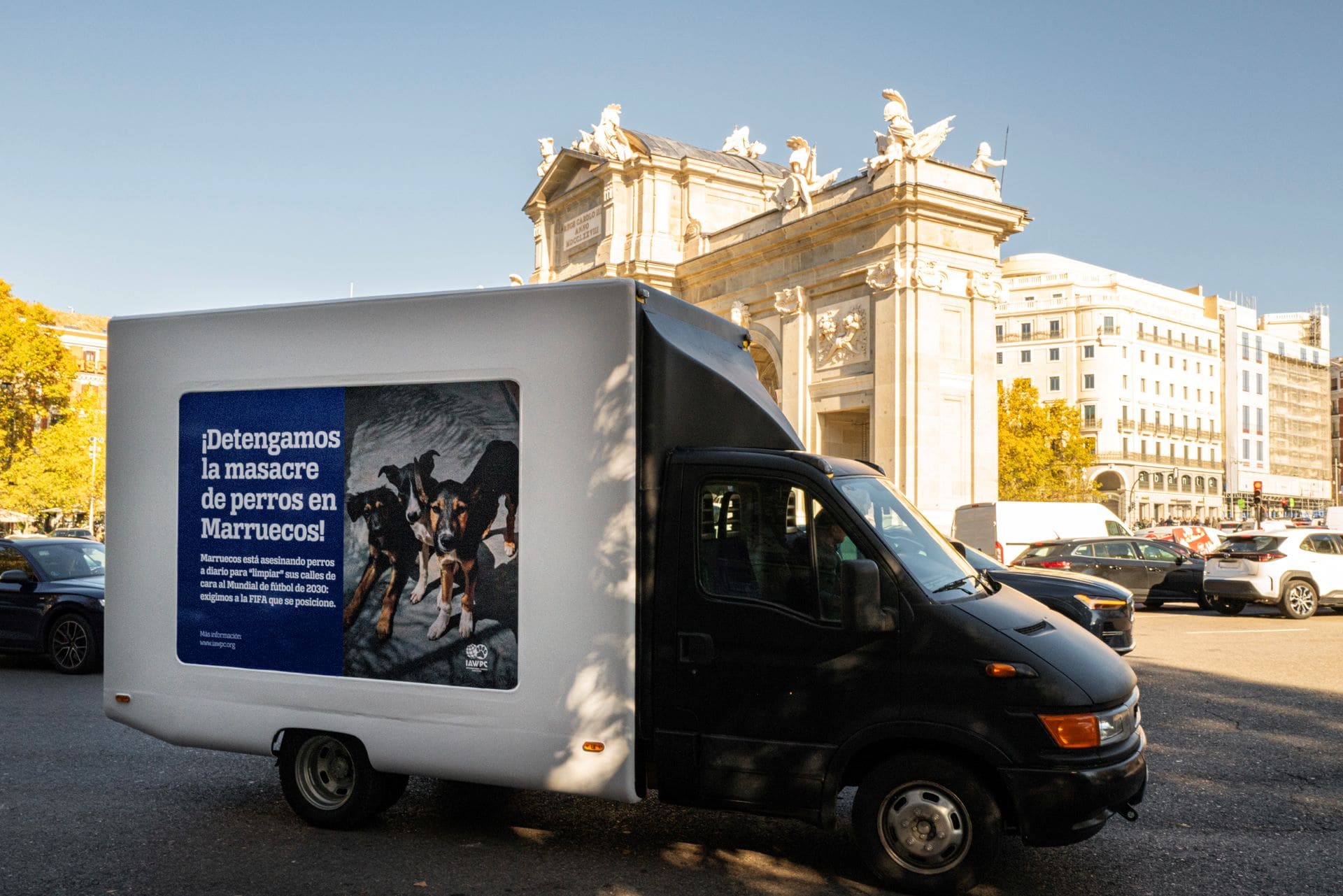 Mundial Futbol Marruecos 2030 matanza perros