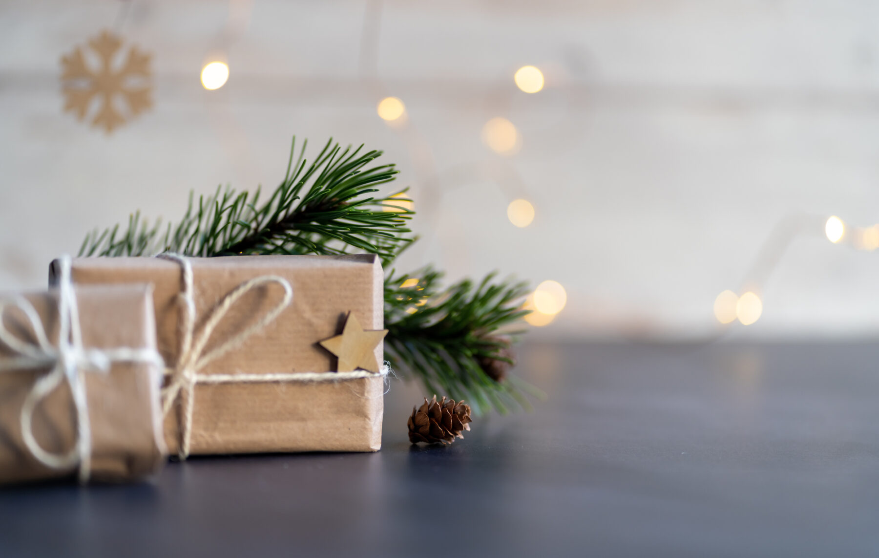 Red Emprendeverde Navidad