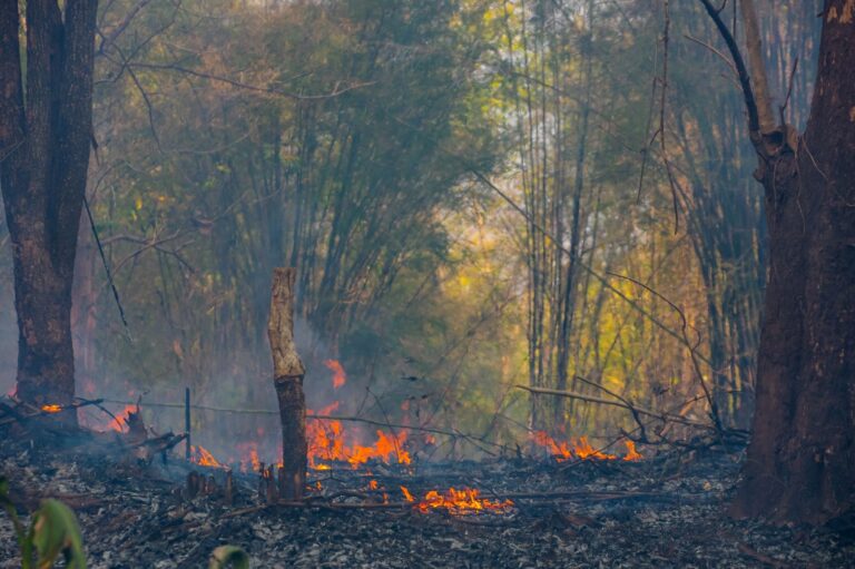 Fire-Res Galicia incendios forestales extremos