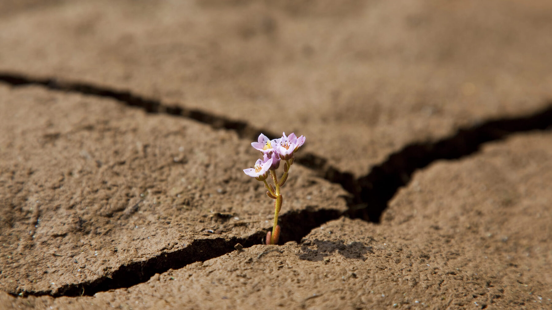 ley clima Galicia calentamiento global