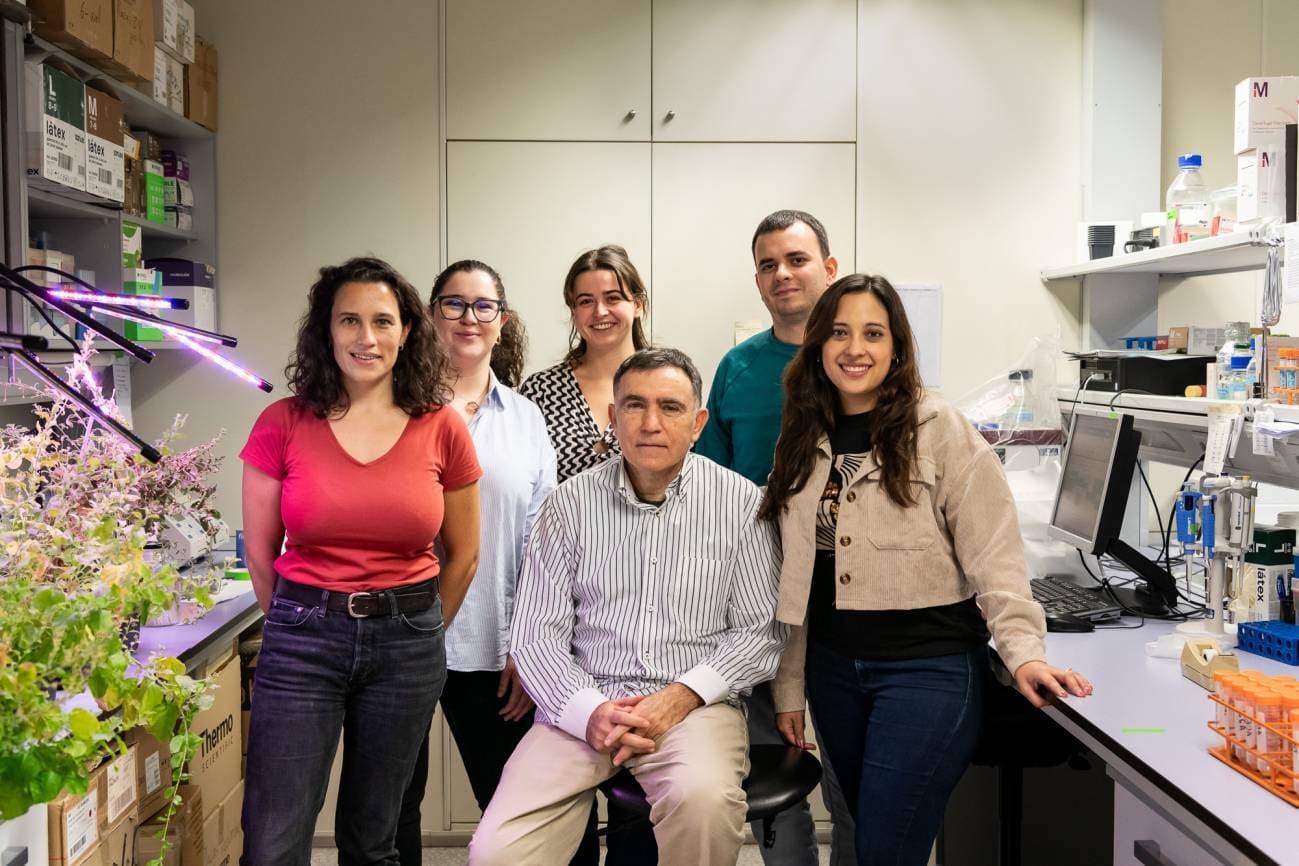 estomas hojas plantas estrés ambiental