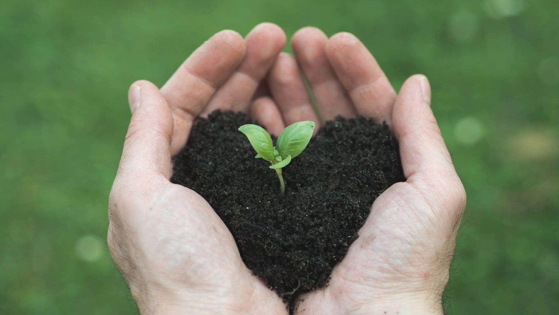 Día Mundial Suelo 2024 Euskadi emplazamientos desuso