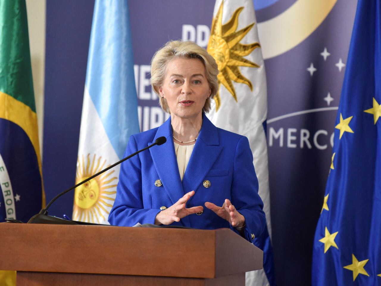 Ecologistas acuerdo UE Mercosur