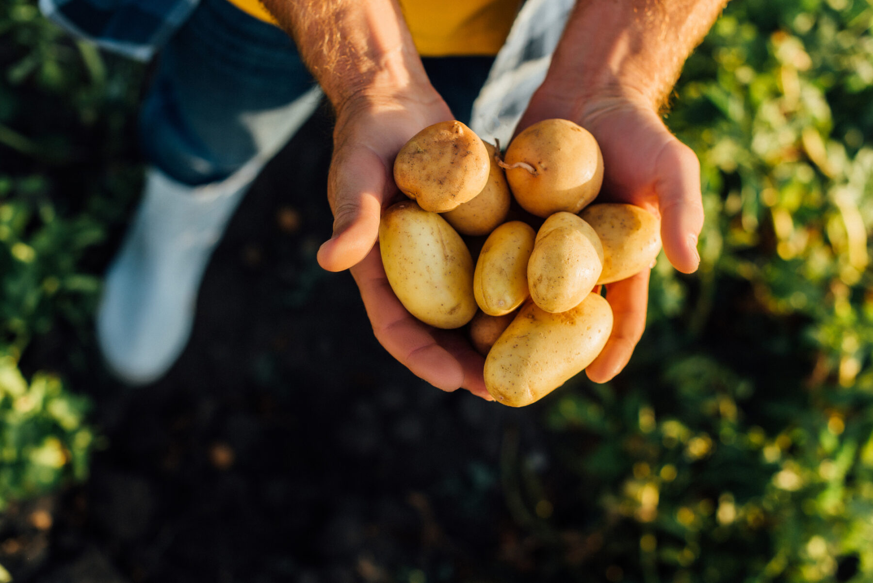 Escuela de la Tierra agricultura ganadería ecológica inmigrantes