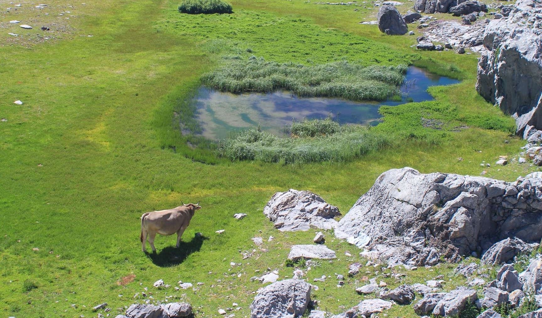 cambio climático humedales montaña Red Natural Asturias