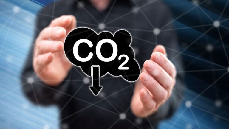 Galicia carbono 2025