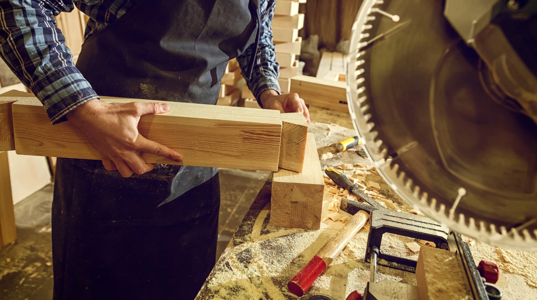 Galicia forestal madera economía verde