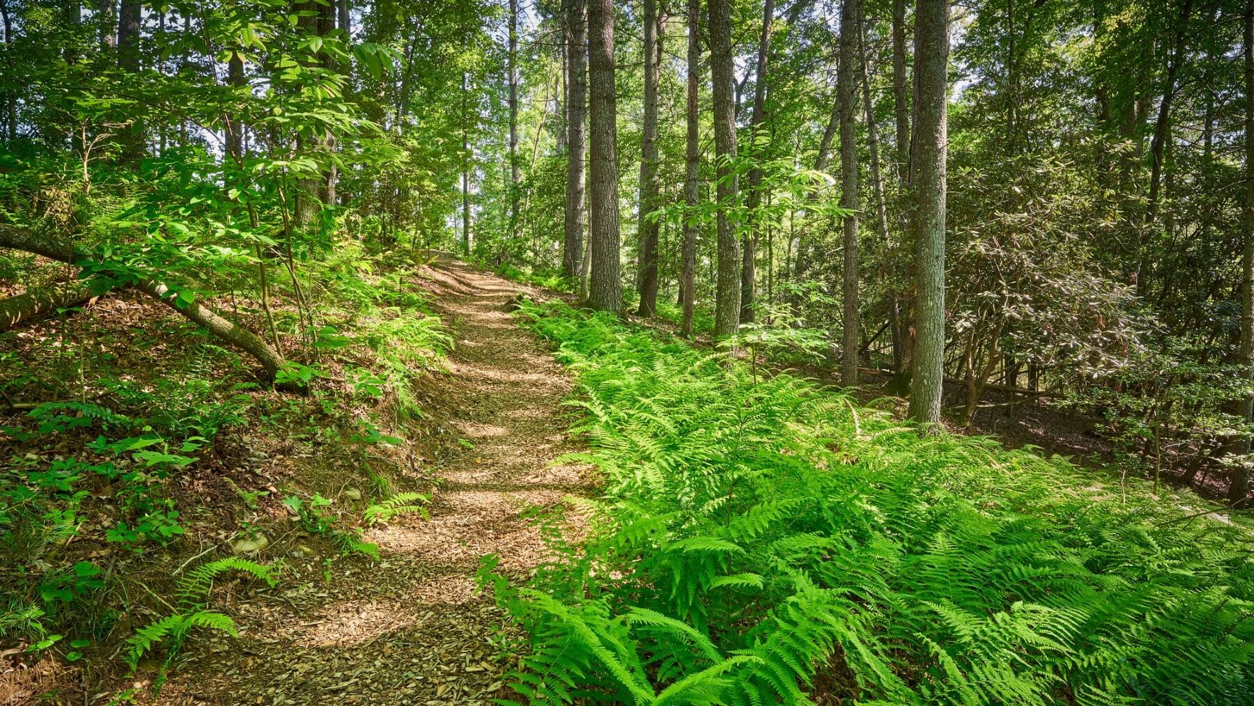 Galicia senderos azules rutas caminos ecoturista