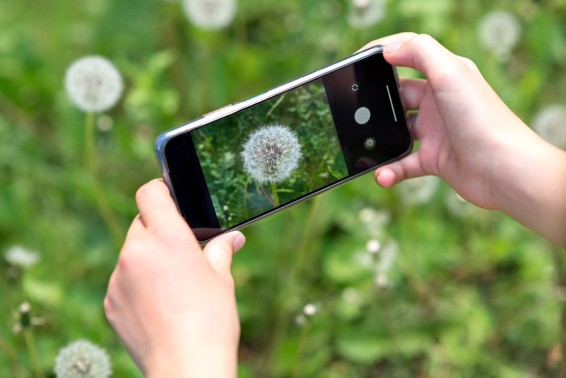 videos cambio climático