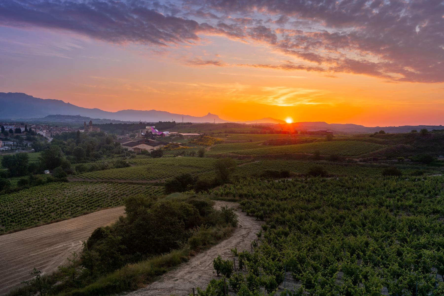 La Rioja Cátedra Paisaje Biodiversidad Recursos Hídricos UR