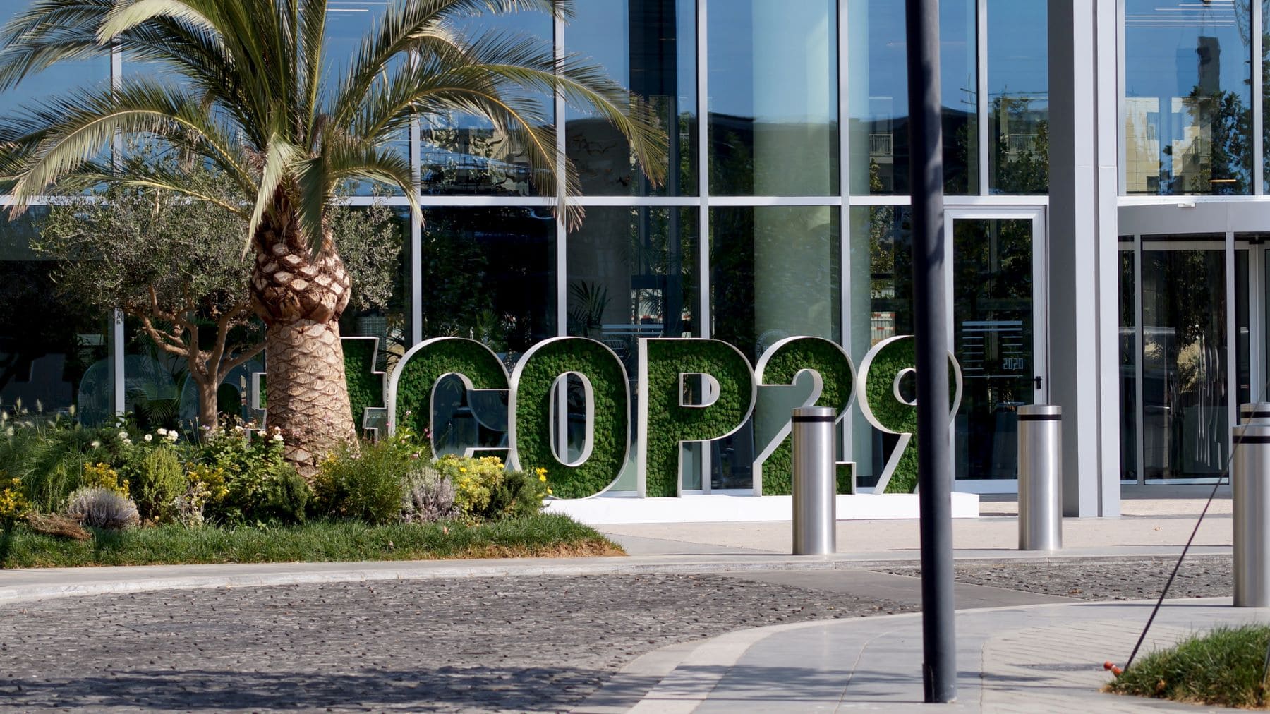 organizaciones ambientales COP29