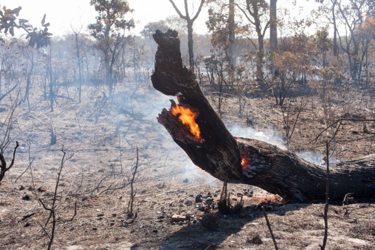 incendios forestales Galicia 2024
