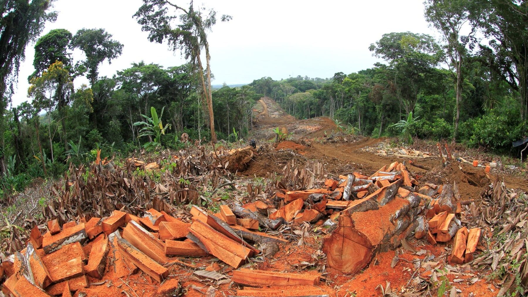 rechazan tratado UE Mercosur