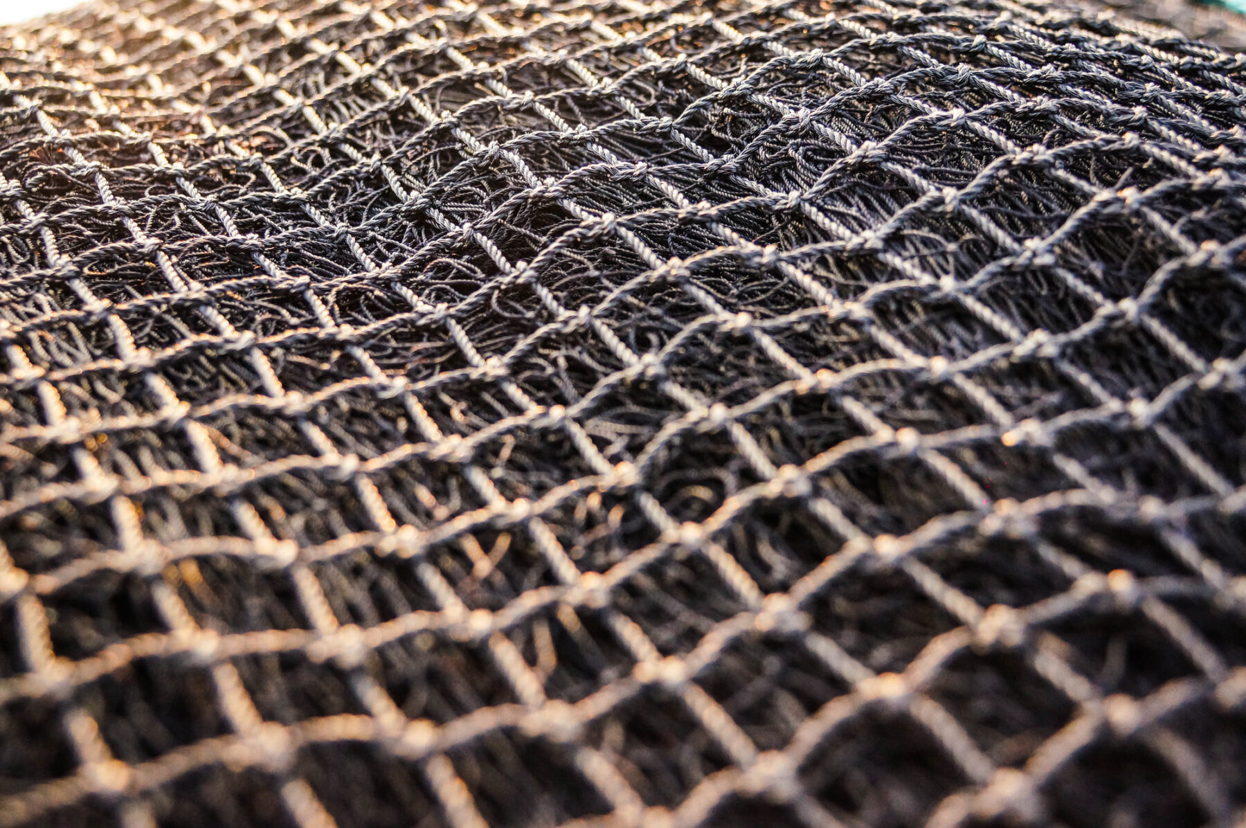 Mediterráneo pesca arrastre emisiones biodiversidad