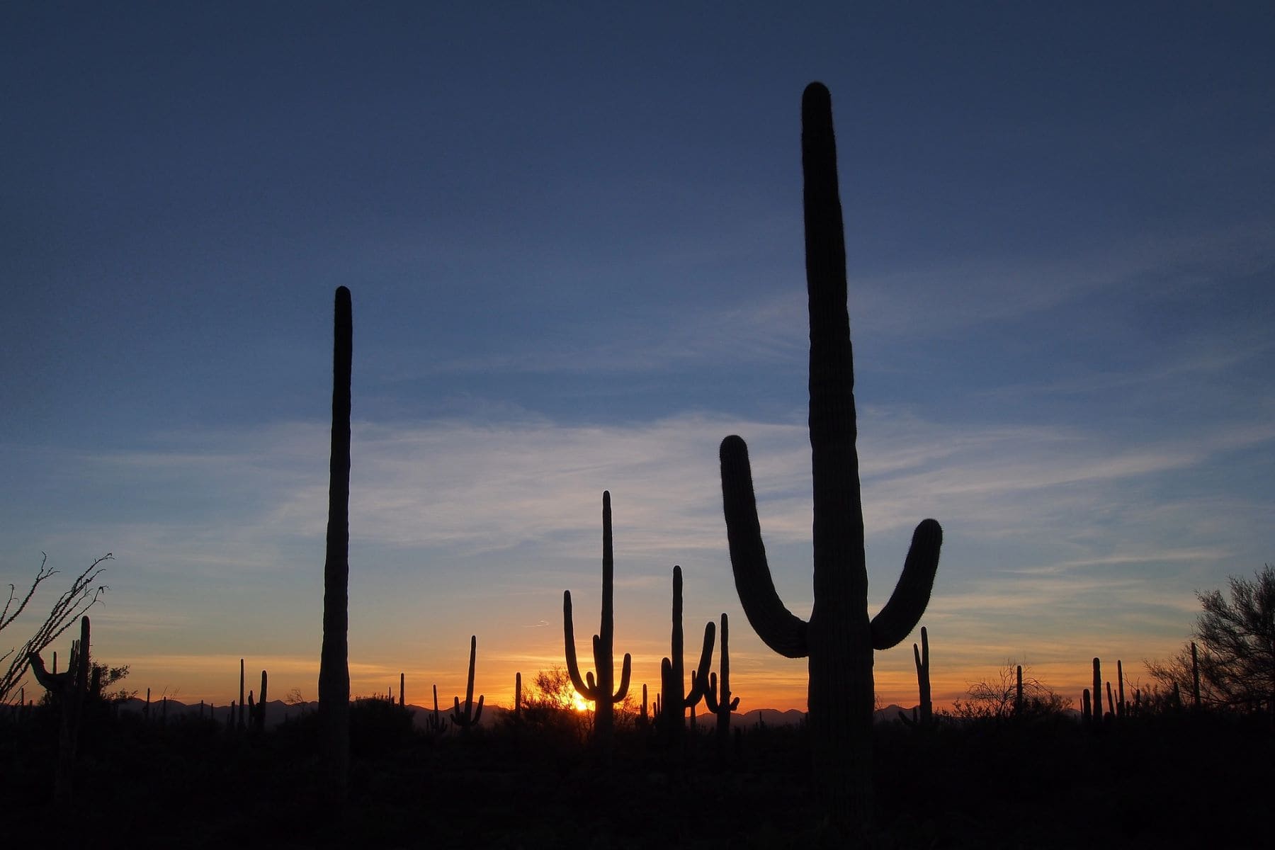 México gobierno problemas medioambientales 2024
