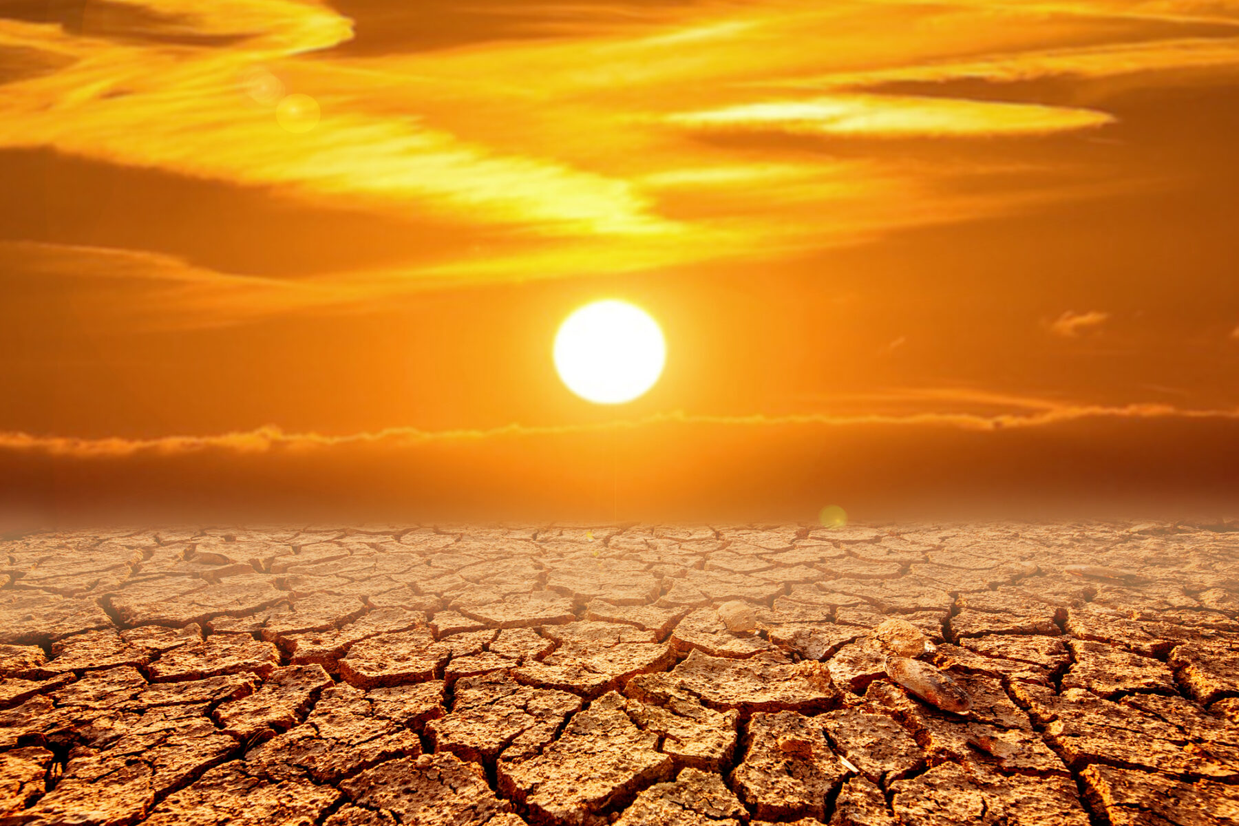 Jóvenes degradación desertificación tierra