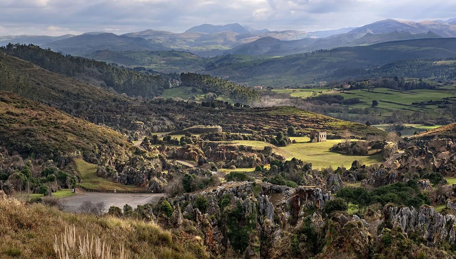 Parque Cabárceno árboles autóctonos