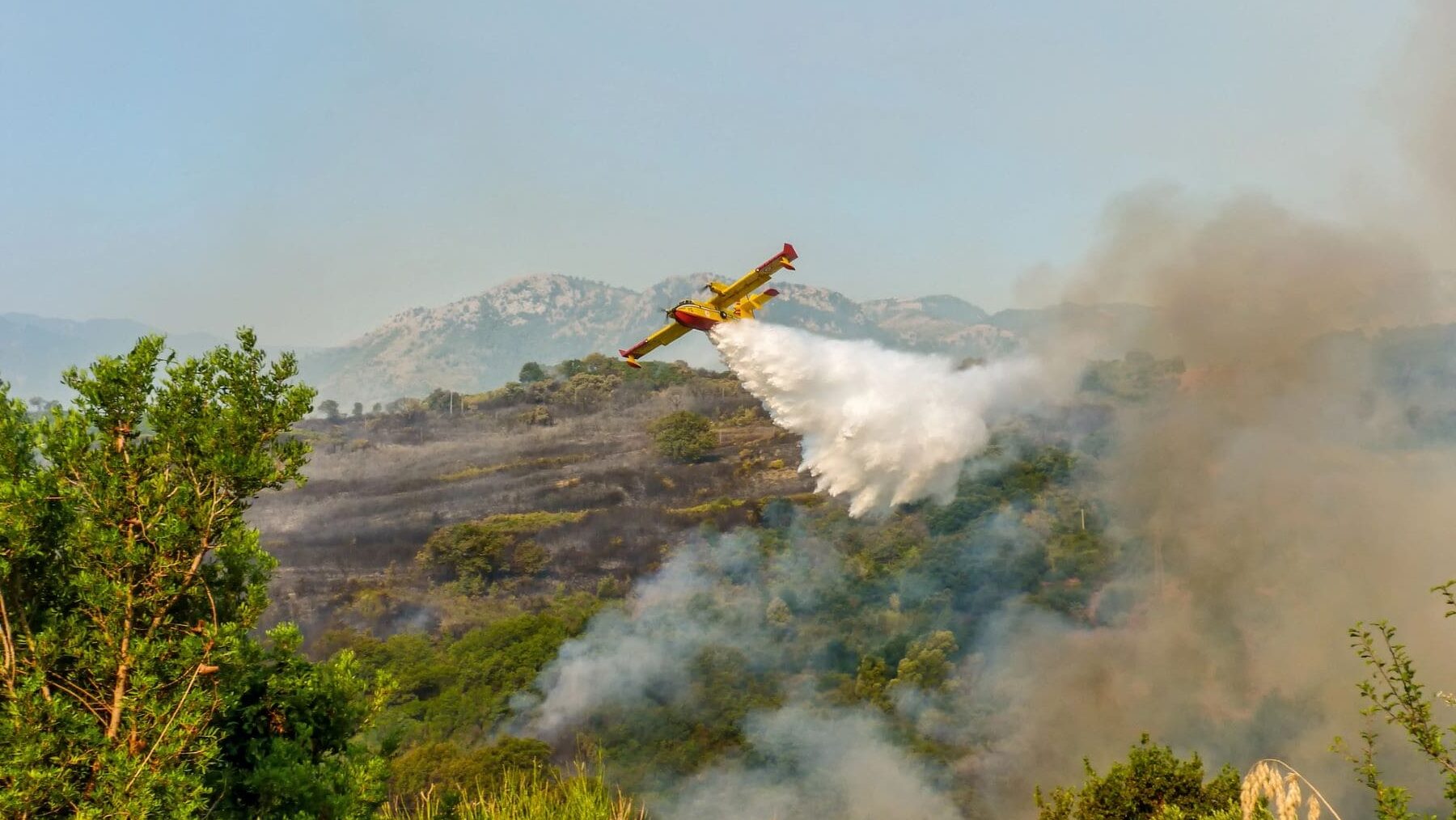 incendios forestales Ourense