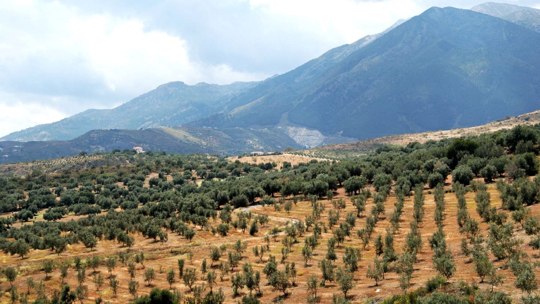 AgriRegenCarbon Agricultura Regenerativa crisis climática