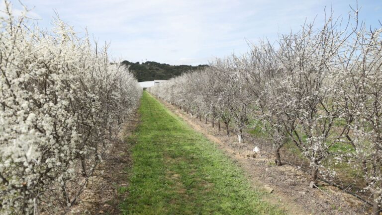 LIFE NAdapta sector agrícola Navarra cambio climático