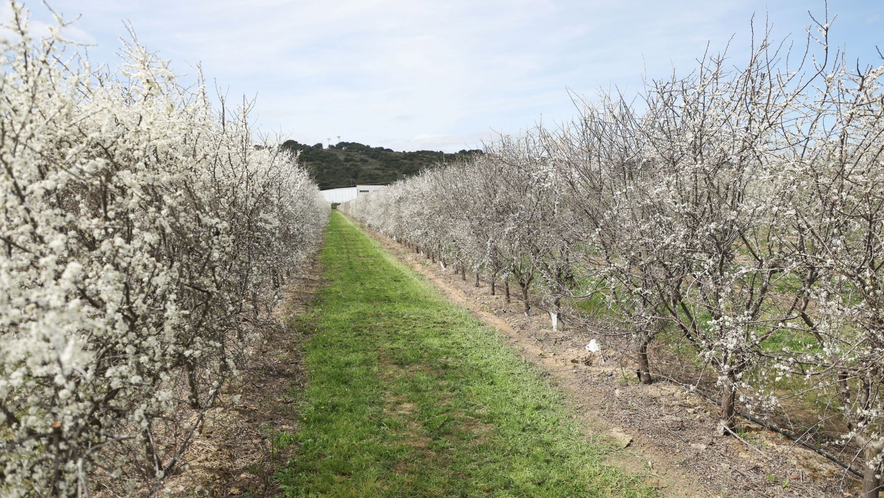 LIFE NAdapta sector agrícola Navarra cambio climático
