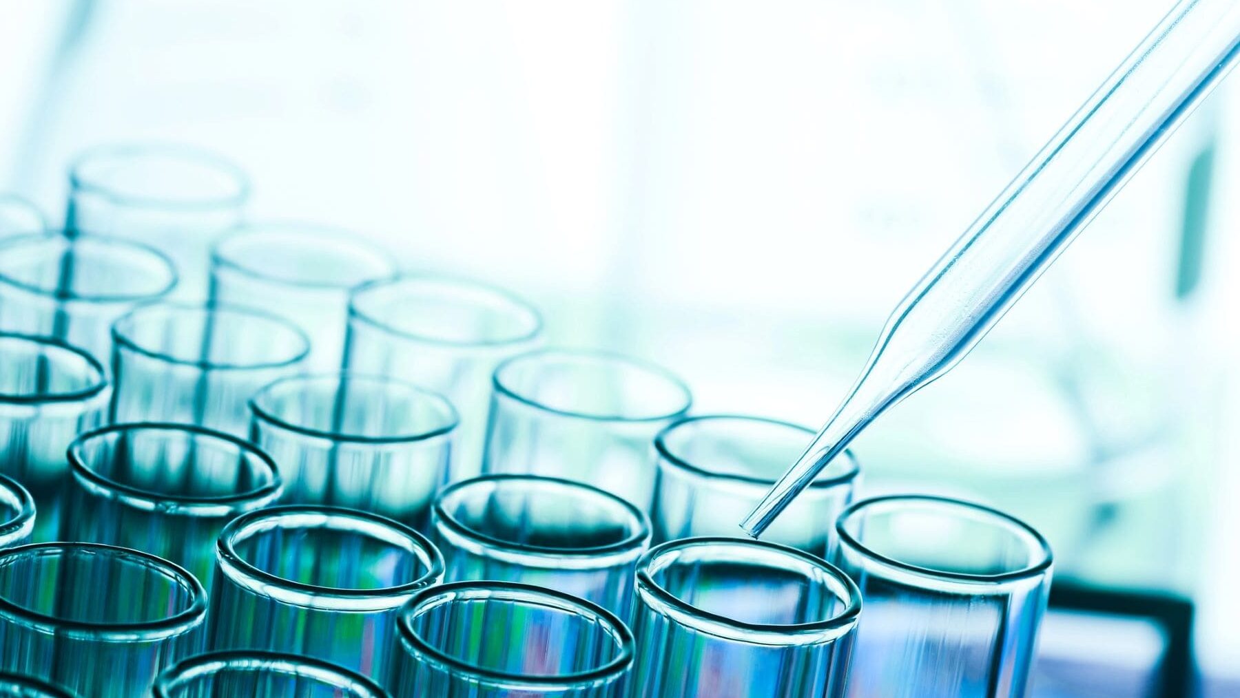 VEG4COS cosmética ecológica