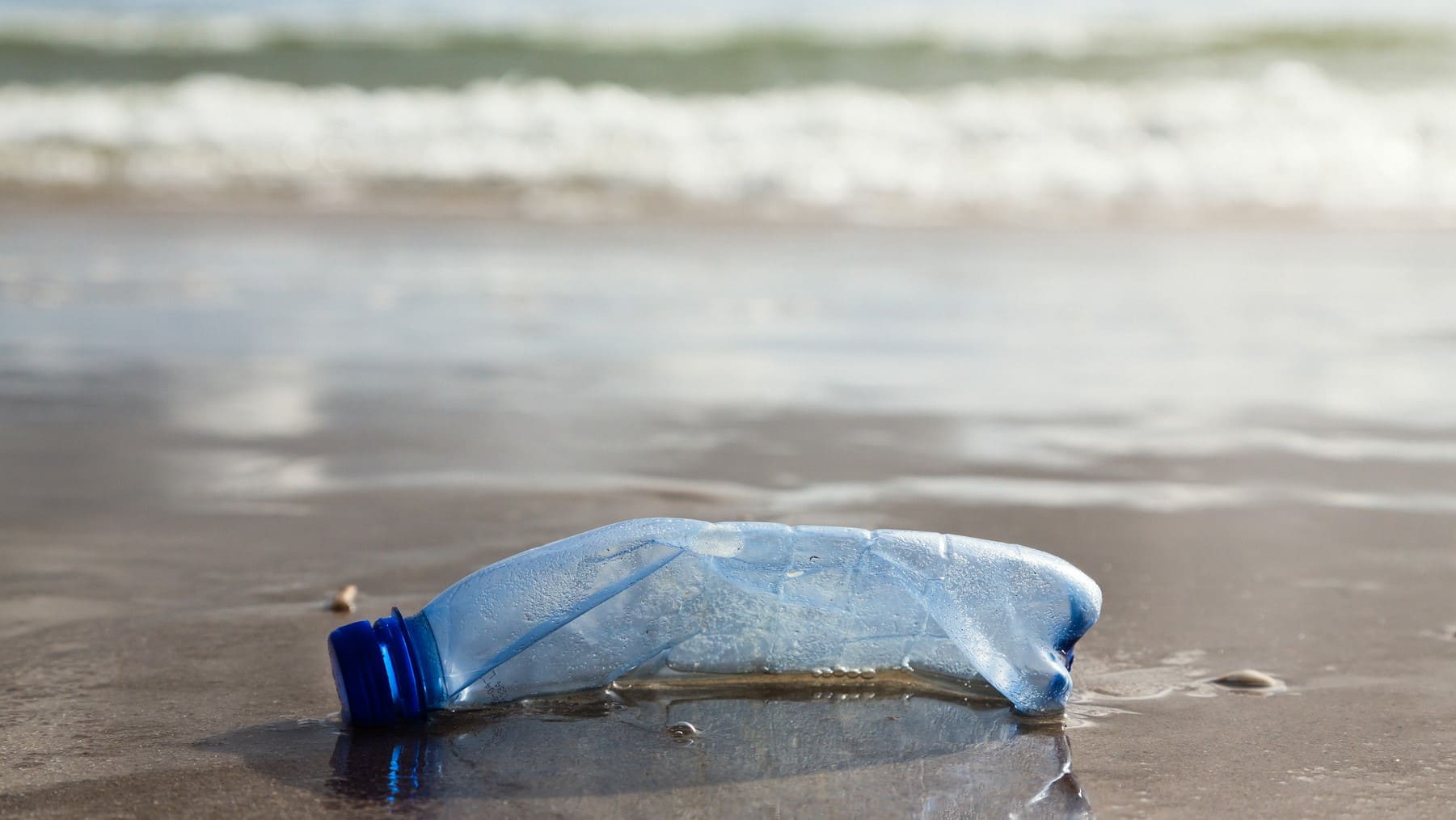 Upcycling oceans Mares circulares basura marina Galicia