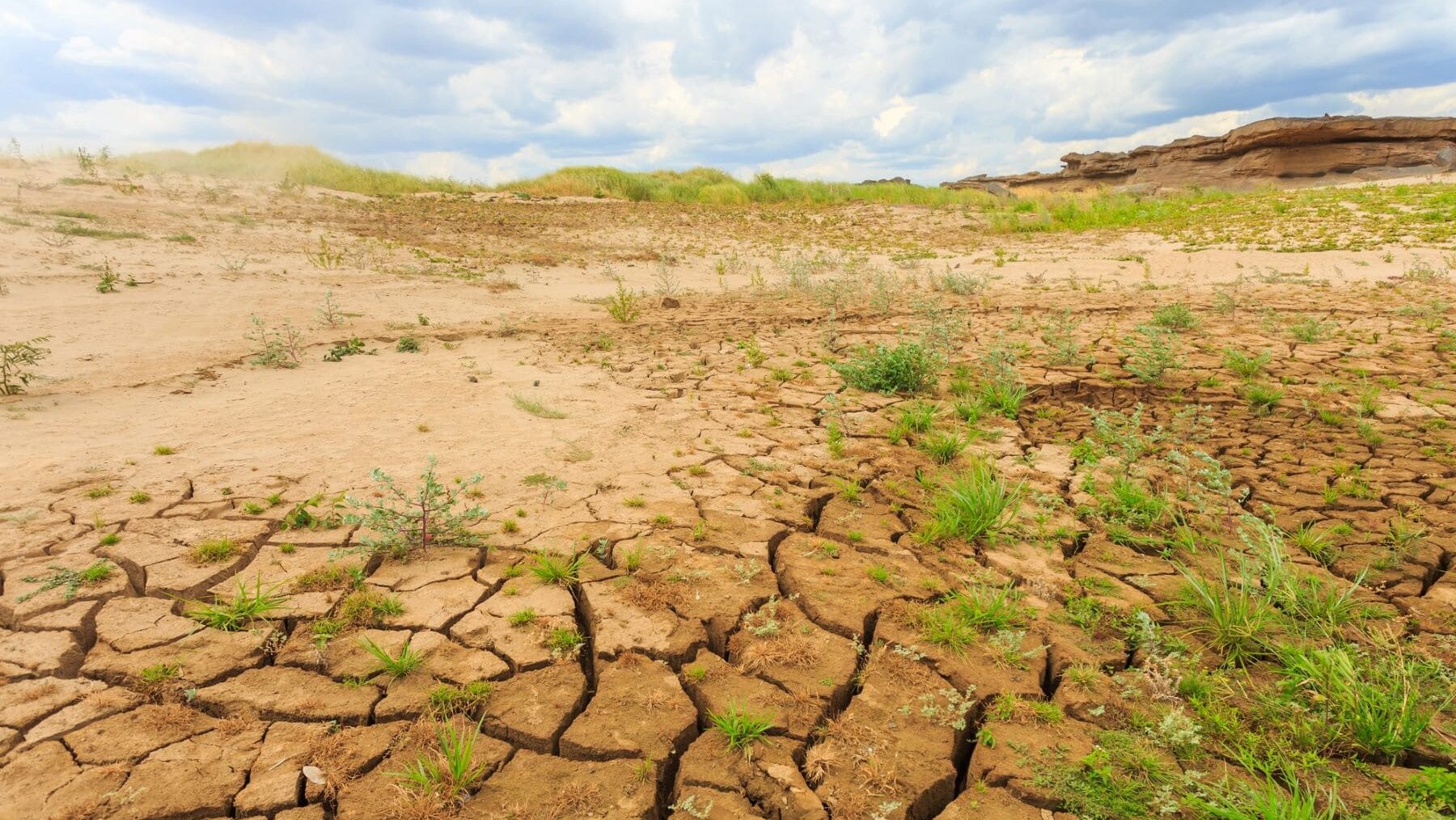 IA calentamiento global