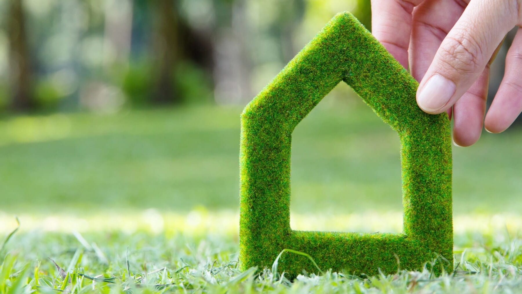 Sostenibilidad XL GBCE innovación