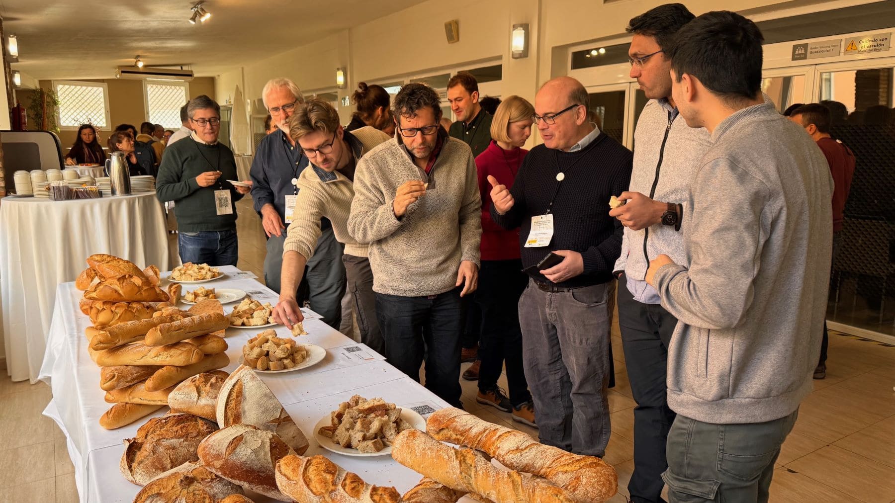 Trigo cultivo cambio climático