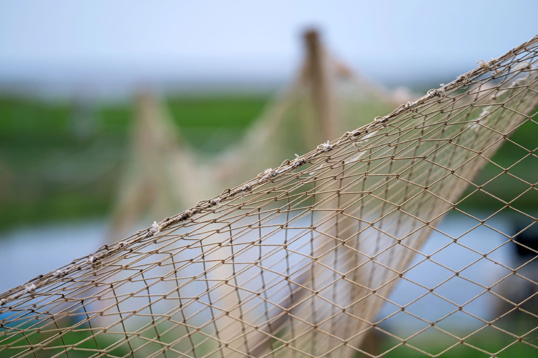 ambientalistas reparto justo recursos pesqueros