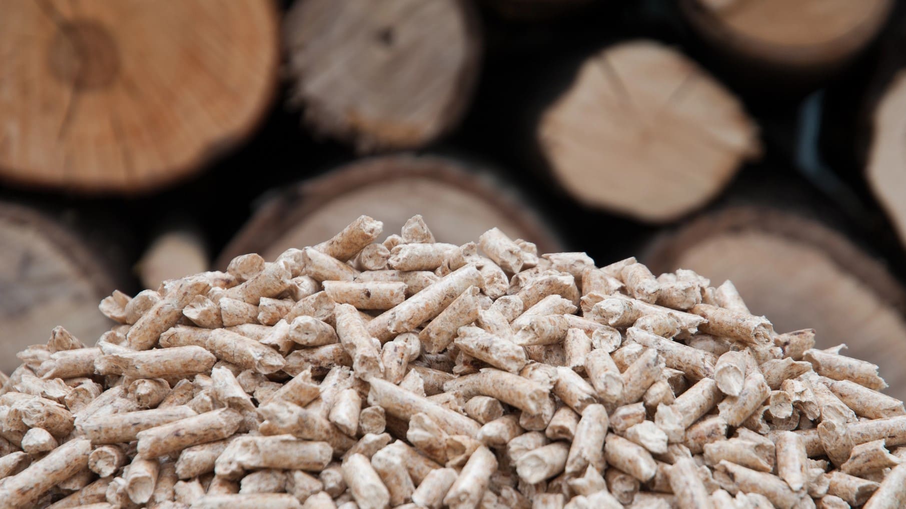 biomasa Puente Castro