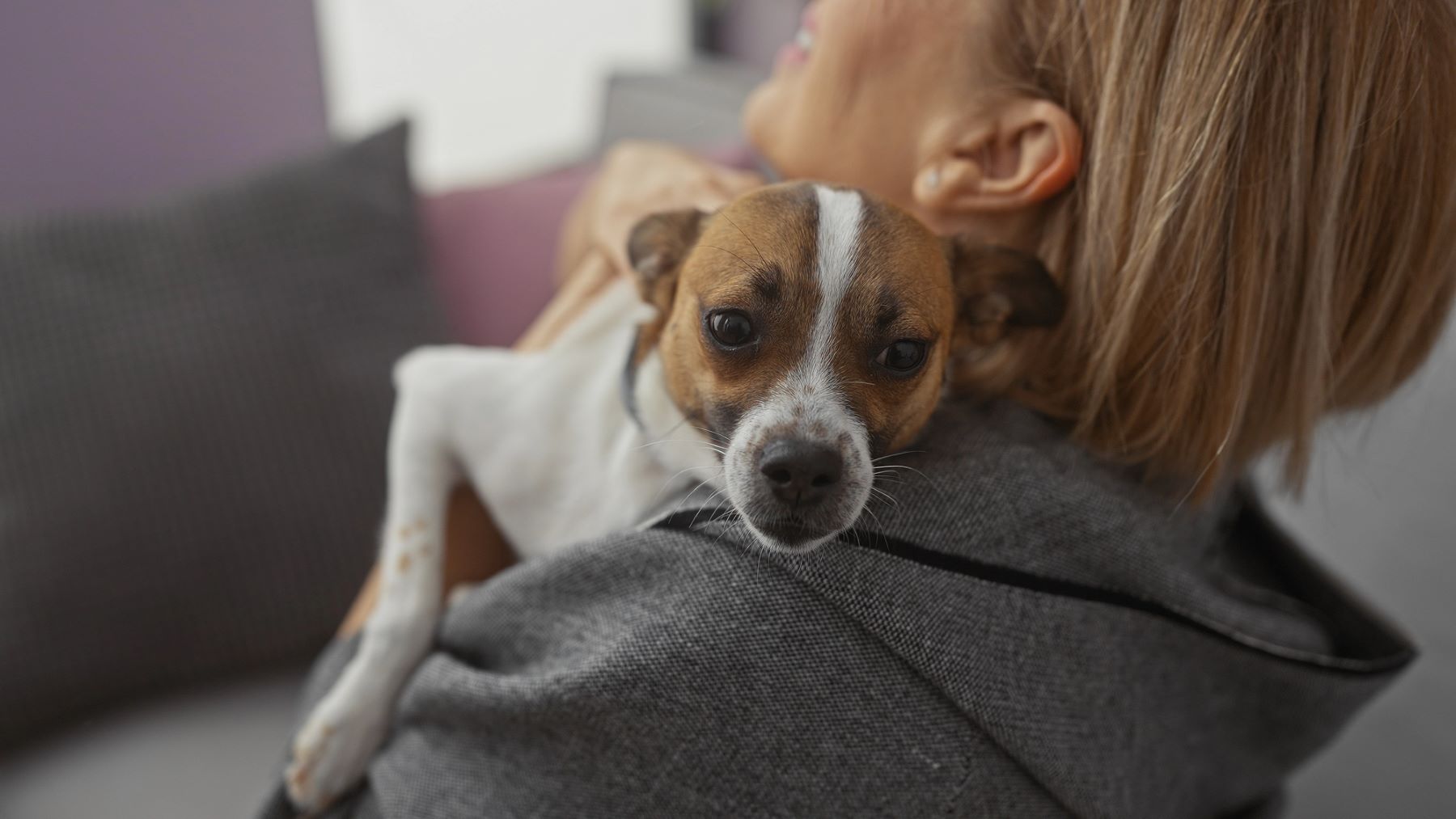 Andalucía Patrulla Canina Justicia terapia perros