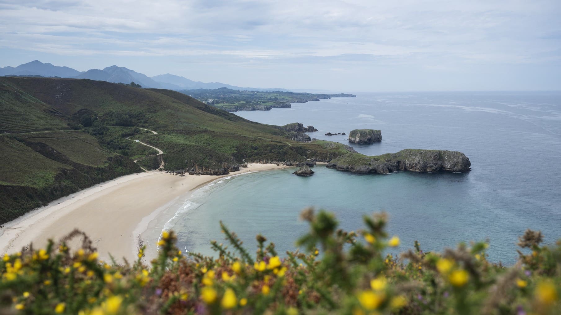 Asturias hábitats Red Natura 2000