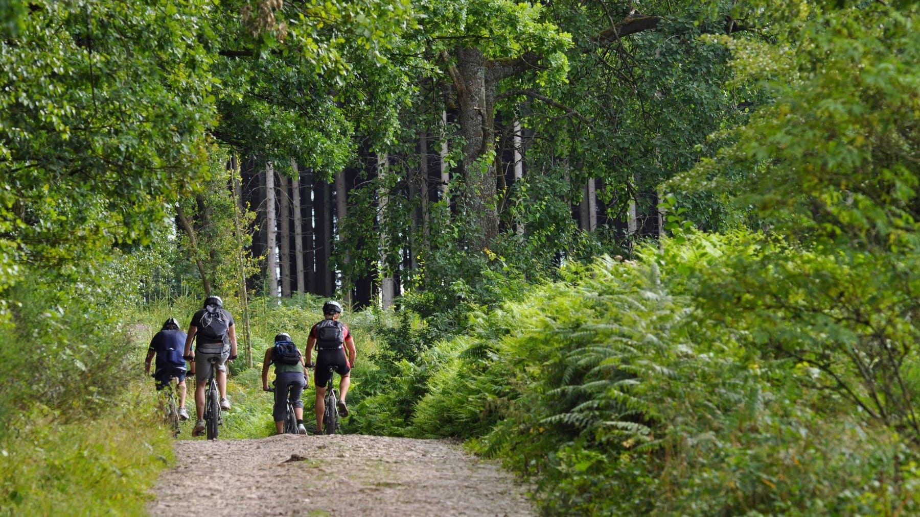 Asturias Ciclismo Naturaleza rutas